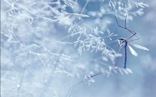 心理学研究:我们的记忆有开关?