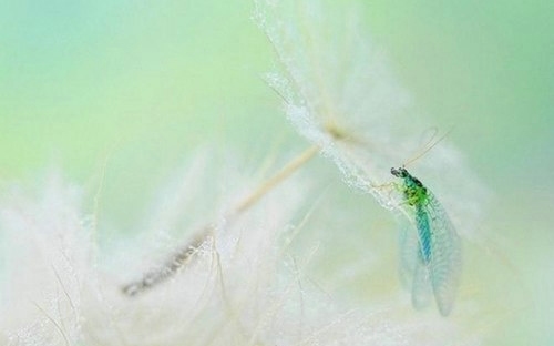 心理分析:没有自我与自我太大