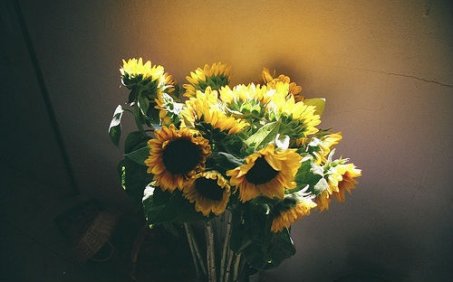 :Һ˭