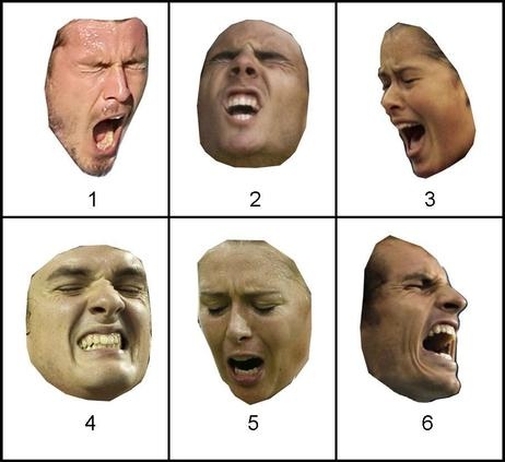 ΢ЦϵЦ