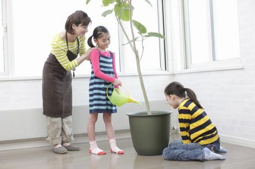 案例分析:拥有太多是种罪