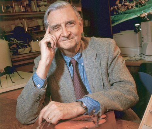 Edward O. Wilson sourcewikimedia