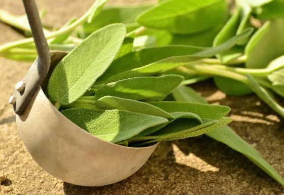 心理学堂:对抗超级细菌的新武器