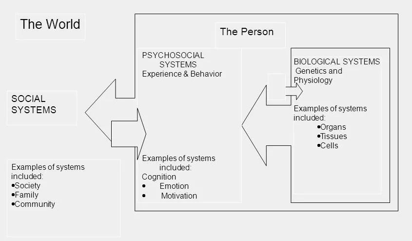 心理疾病:生物心理社会模型(2)